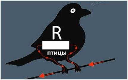 Почему птиц не бьет током на проводах - простое объяснение