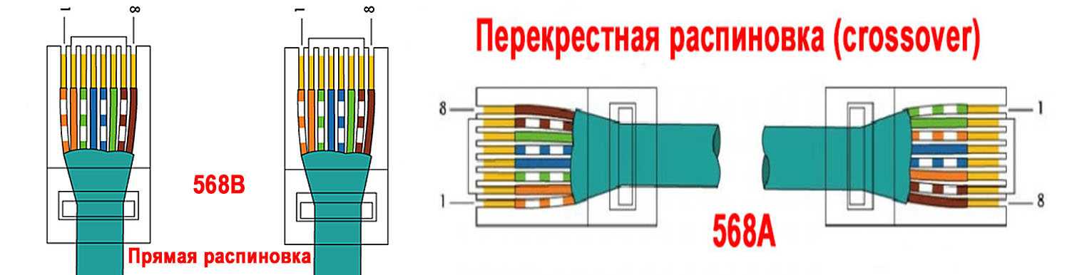 Разъем распиновка ethernet-коннектора схема подключения кабеля