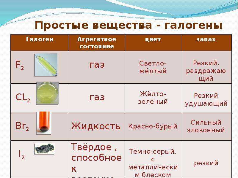 Что такое галогены в химии и каково их биологическое значение в жизни человека | tvercult.ru