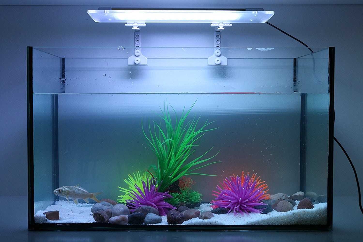 Расчет света: сколько люмен на литр нужно для аквариума