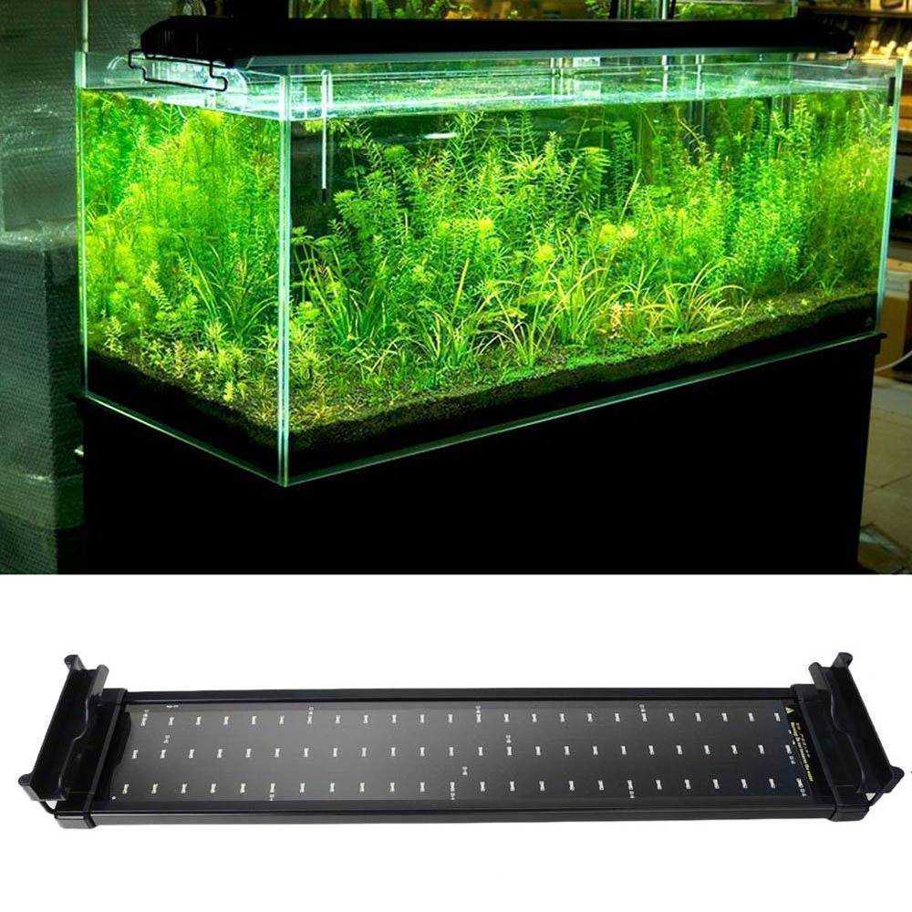 Свет в аквариуме сколько должен гореть: нужна ли подсветка ночью или выключать его, продолжительность светового дня для аквариумных рыб