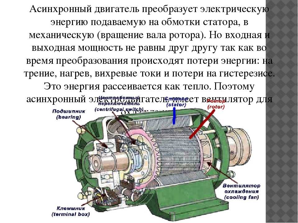 Асинхронный электродвигатель: устройство и принцип работы  - ооо «сзэмо электродвигатель»