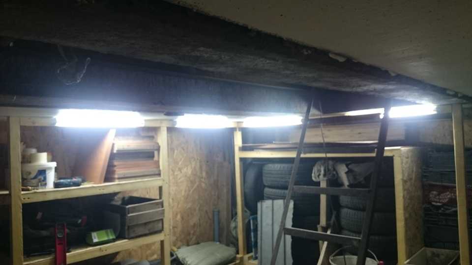 Как сделать освещение в подвале жилого дома, гаража