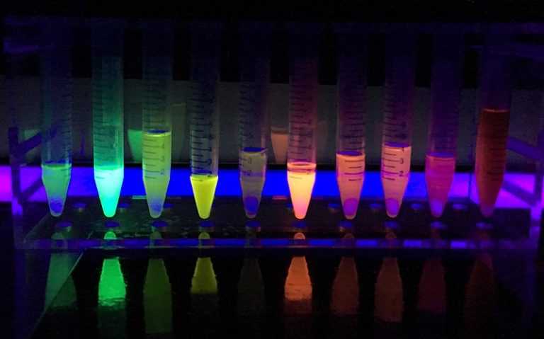 Флуоресценция и фосфоресценция