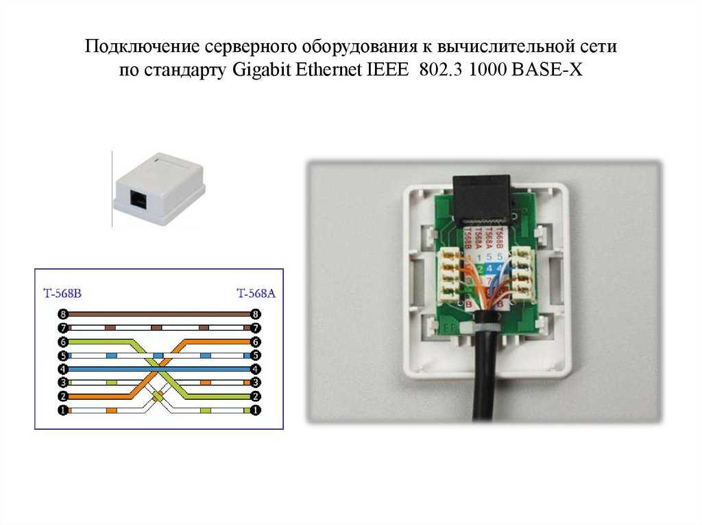 Схема подключения интернет кабеля - tokzamer.ru